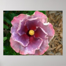 Fleur de palette de couleurs poster