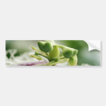 Fleur de passiflore comestible de passiflore adhésifs pour voiture