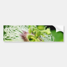 Fleur de passiflore comestible de passiflore adhésifs pour voiture
