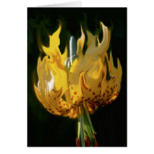 FLEUR de PASSION - carte de voeux