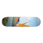 Fleur de perroquet skateboards personnalisables