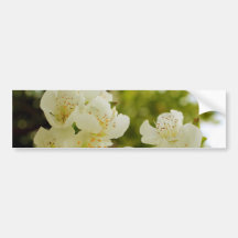 Fleur de pommier adhésif pour voiture