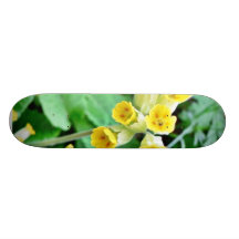 Fleur de primevère skateboards