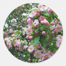 Fleur de ressort autocollants