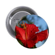 fleur de ressort badge avec épingle