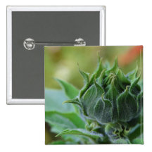 fleur de ressort pin's avec agrafe