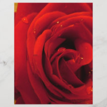 fleur de rose rouge tract customisé