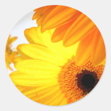 Fleur de Sun Autocollant