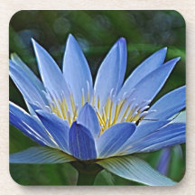 Fleur et signification de Lotus Dessous-de-verre