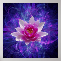 Fleur et signification de lotus rose affiches