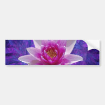 Fleur et signification de lotus rose adhésif pour voiture