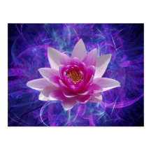 Fleur et signification de lotus rose cartes postales