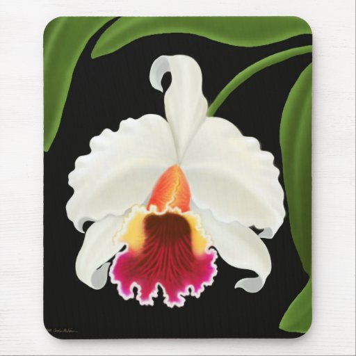 Fleur exotique d'orchidée de Cattleya Tapis De Souris