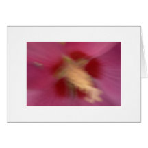 Fleur ivre ? carte de vœux