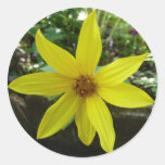 fleur jaune adhésifs ronds