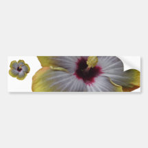 fleur jaune de ketmie adhésifs pour voiture
