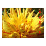 Fleur jaune faite sur commande de dahlia d'invitat