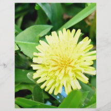 Fleur jaune lumineuse de pissenlit tract customisé