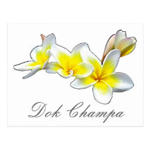 FLEUR LAOTIENNE DOK CHAMPA - PLUMERIA RUBRA CARTES POSTALES
