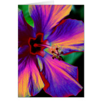 Fleur magique cartes