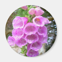 Fleur Magnets Pour Réfrigérateur