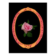Fleur naturelle de rose de rose cartes postales
