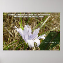 Fleur - nouvelle création posters