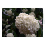 Fleur nuptiale carte