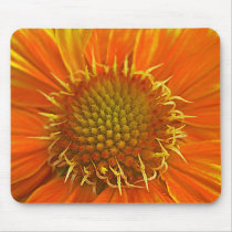 Fleur orange tapis de souris