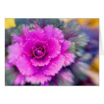 Fleur pourpre cartes de vœux
