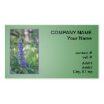 Fleur pourpre de Vitex Cartes De Visite Professionnelles