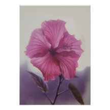 Fleur rétro-éclairée de ketmie photographie d’art
