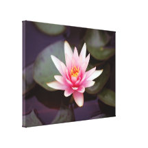 Fleur rose de nénuphar toile tendue sur châssis