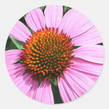 Fleur rose de ressort adhésif