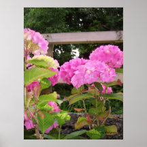 Fleur rose posters