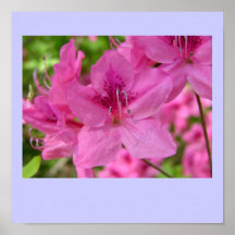 Fleur rose posters