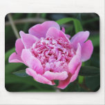 Fleur rose pourpre de fleur tapis de souris