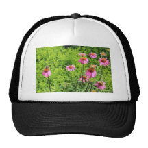 fleur sauvage 099.JPG Casquette De Camionneur