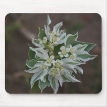 Fleur Tapis De Souris