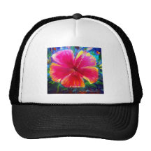 Fleur vibrante de ketmie casquettes