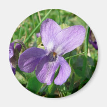 Fleur violette aimants