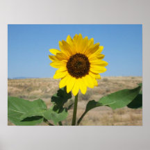 Fleurissez où vous êtes plantés - copie de fleur d poster