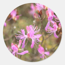 fleurit 9.jpg autocollant