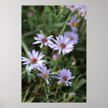 fleurit l'affiche