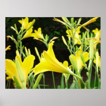 fleurit l'affiche