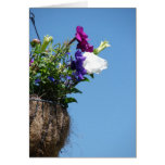 Fleurs accrochantes cartes de vœux
