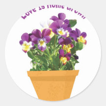 Fleurs Adhésifs
