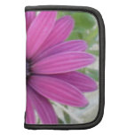 FLEURS pochettes folios