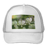Fleurs blanches de défenseurs de la veuve et de l' casquettes