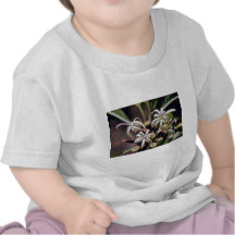 fleurs blanches de la lobélie (espèces de Cyanea) T-shirt